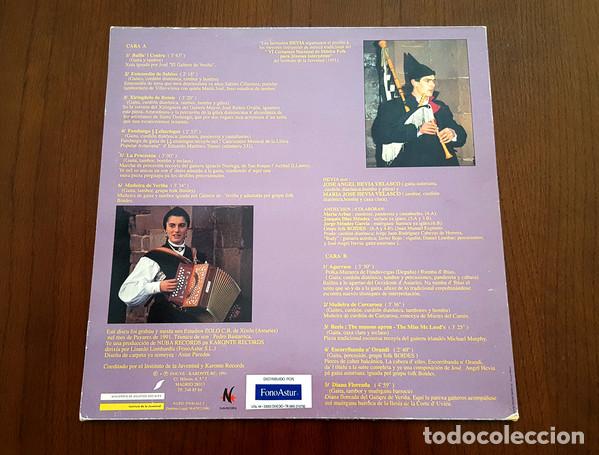 Discos de vinilo: HEVIA - HEVIA - LP - Discos La Metralleta - Foto 4