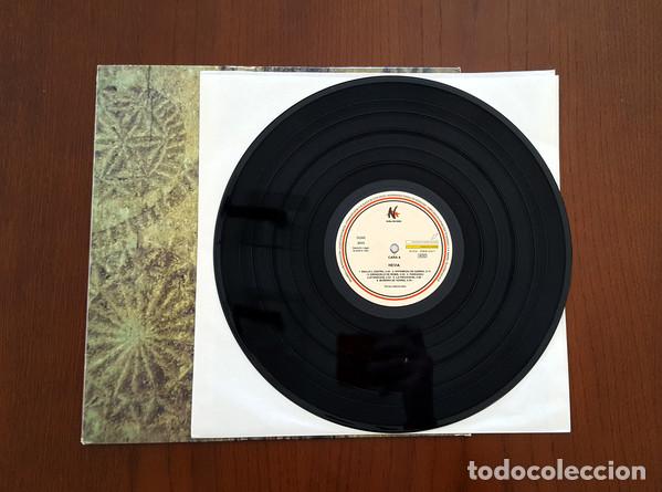 Discos de vinilo: HEVIA - HEVIA - LP - Discos La Metralleta - Foto 6