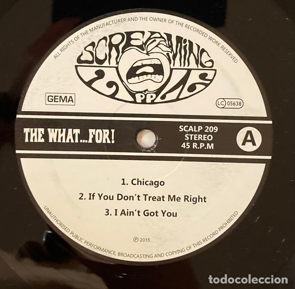 Discos de vinilo: THE WHAT...FOR! - COMPILED! - LP 10&rdquo; - Foto 4