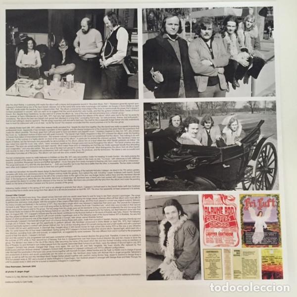 Discos de vinilo: CULPEPERS ORCHARD - CULPEPERS ORCHARD - LP - Foto 6