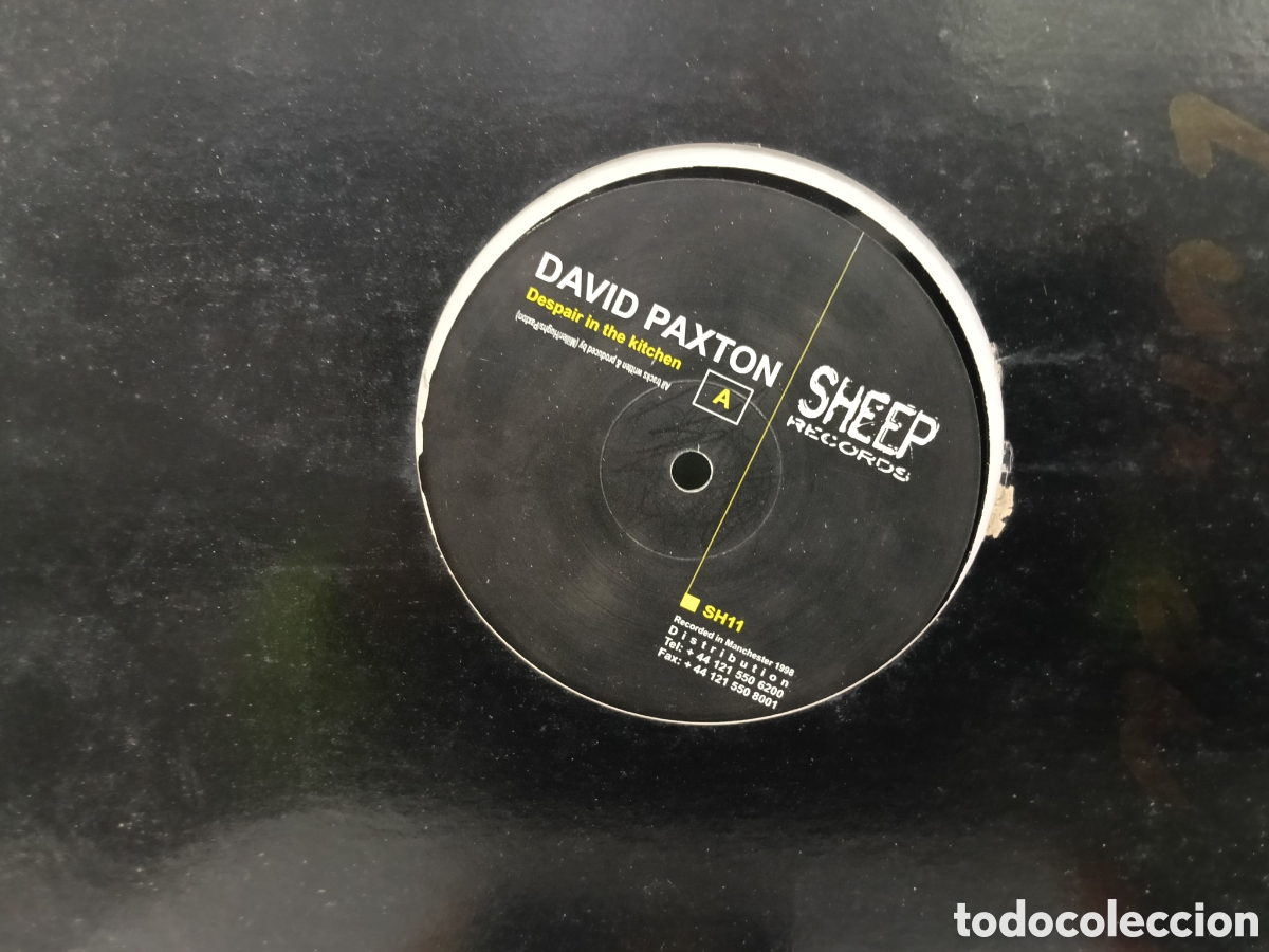 Discos de vinilo: David paxton maxi despair in the kitchen U.k. 1998