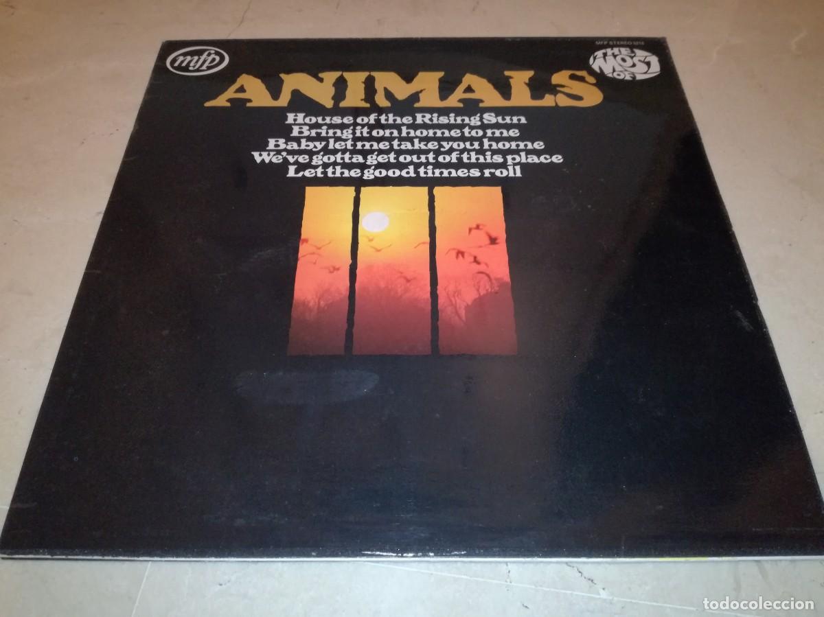 Discos de vinilo: THE MOST OF ANIMALS-EN EXCELENTE ESTADO