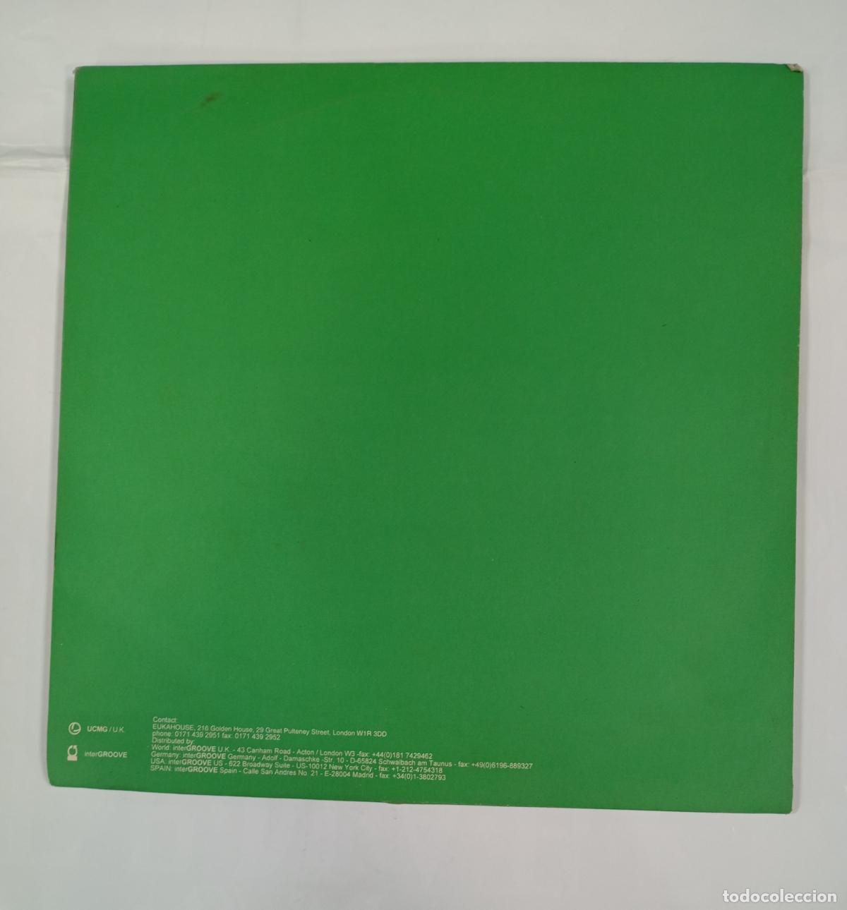 Discos de vinilo: SHOWING COLOURS. MAXI-SINGLE. TDKDA54 - Foto 2