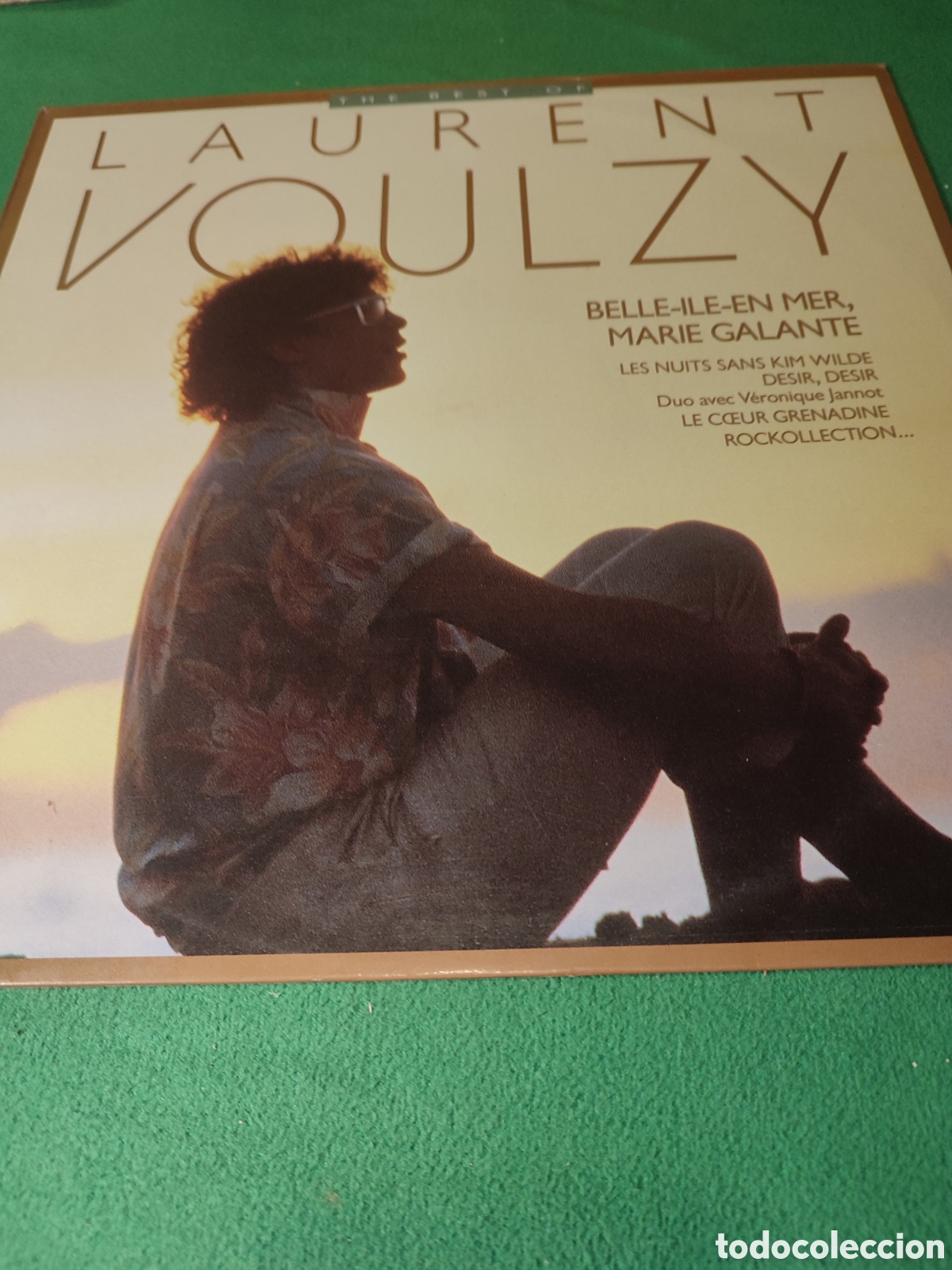 Discos de vinilo: Laurent Voulzy - The Best of 1989