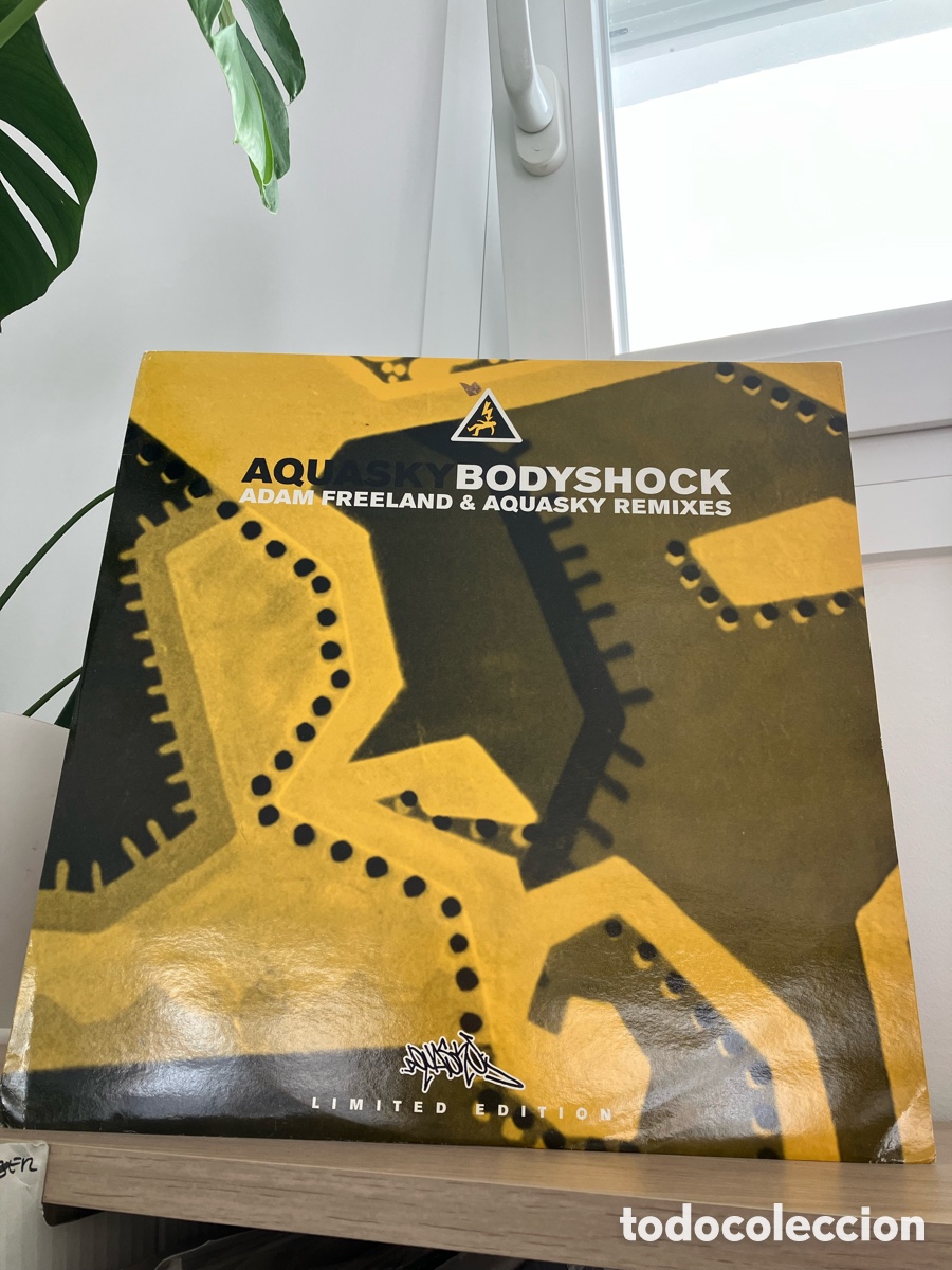 Discos de vinilo: Aquasky- Bodyshock(Adam Freeland)