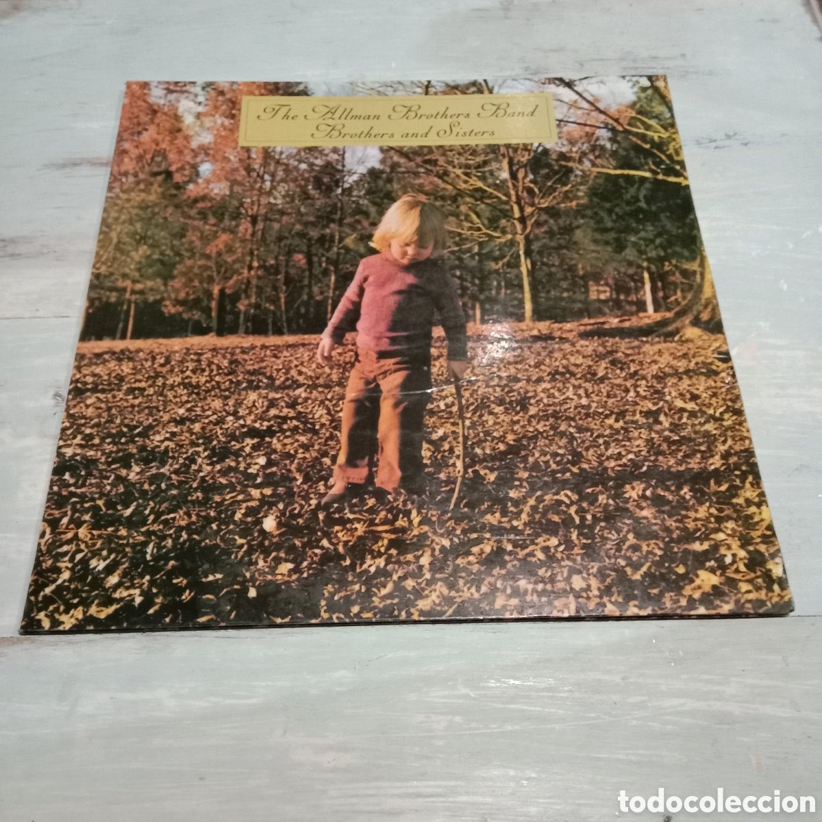 Discos de vinilo: THE ALLMAN BROTHERS BAND - BROTHERS AND SISTERS - LP GATEFOLD