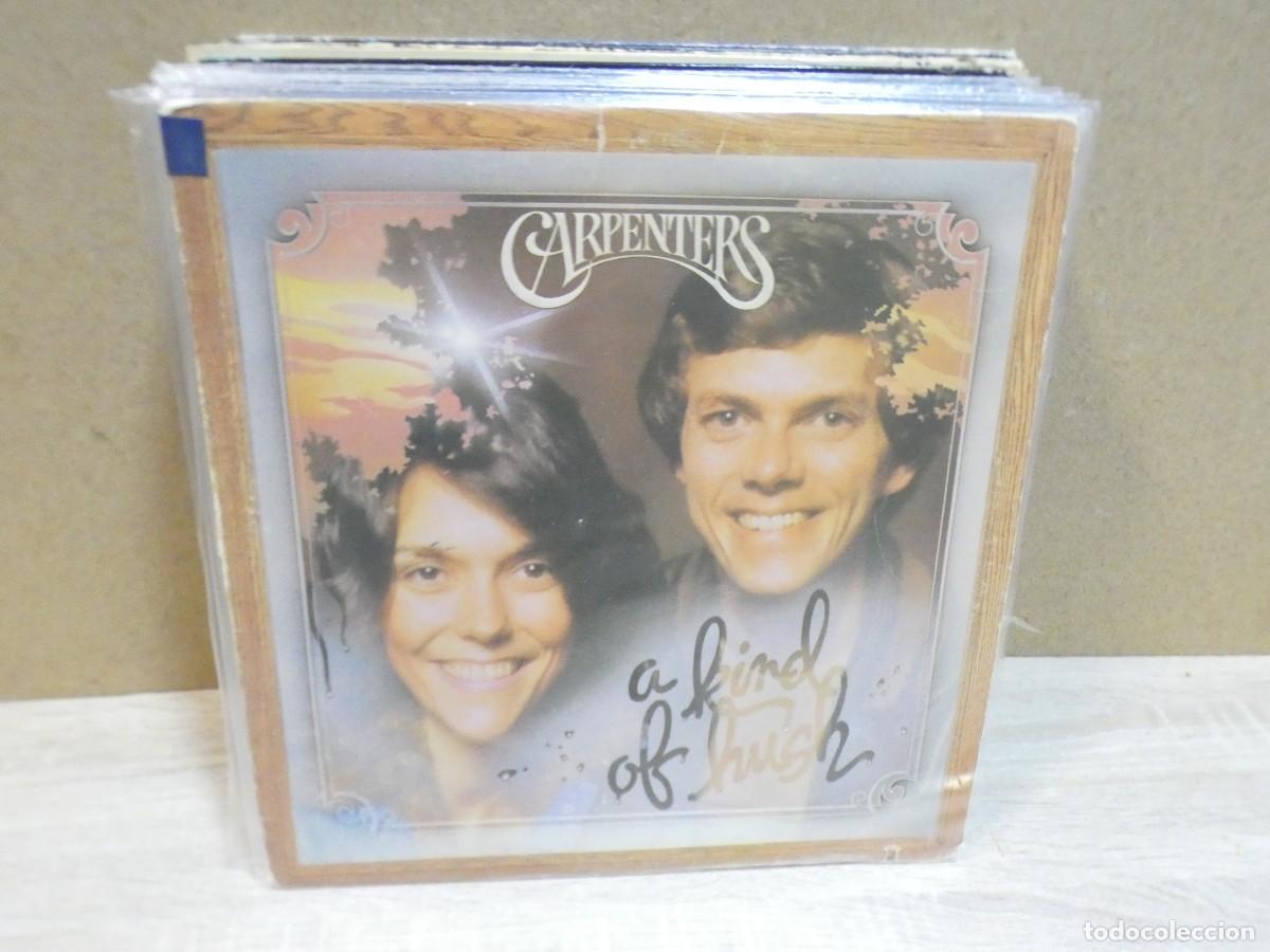 Discos de vinilo: ARKANSAS1980 CAJJ804 LP LEVE USO AUN CORRECTO THE CARPENTERS