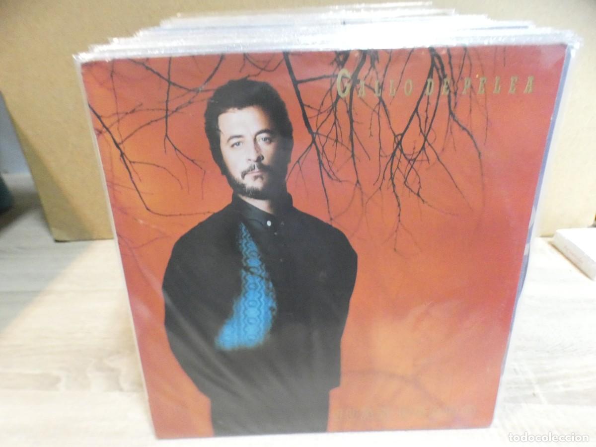 Discos de vinilo: ARKANSAS1980 EXPRO1026 VINILO BUEN ESTADO A LIMPIAR GALLO DE PELEA