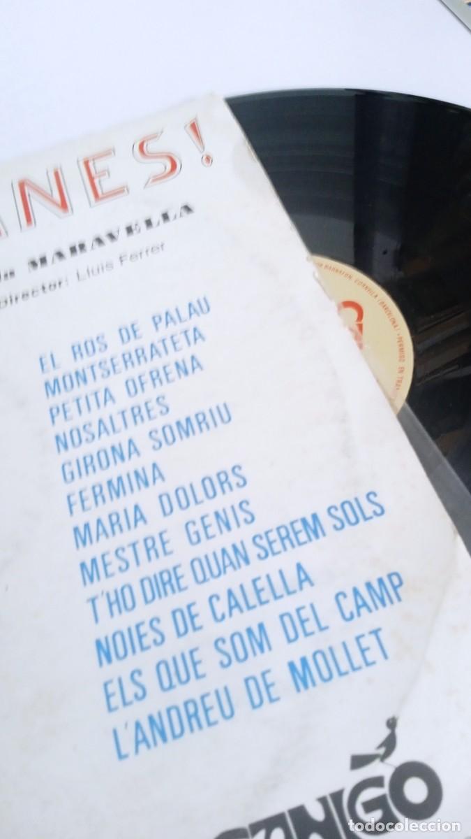 Discos de vinilo: &iexcl;SARDANES! Cobla Maravella - Foto 3