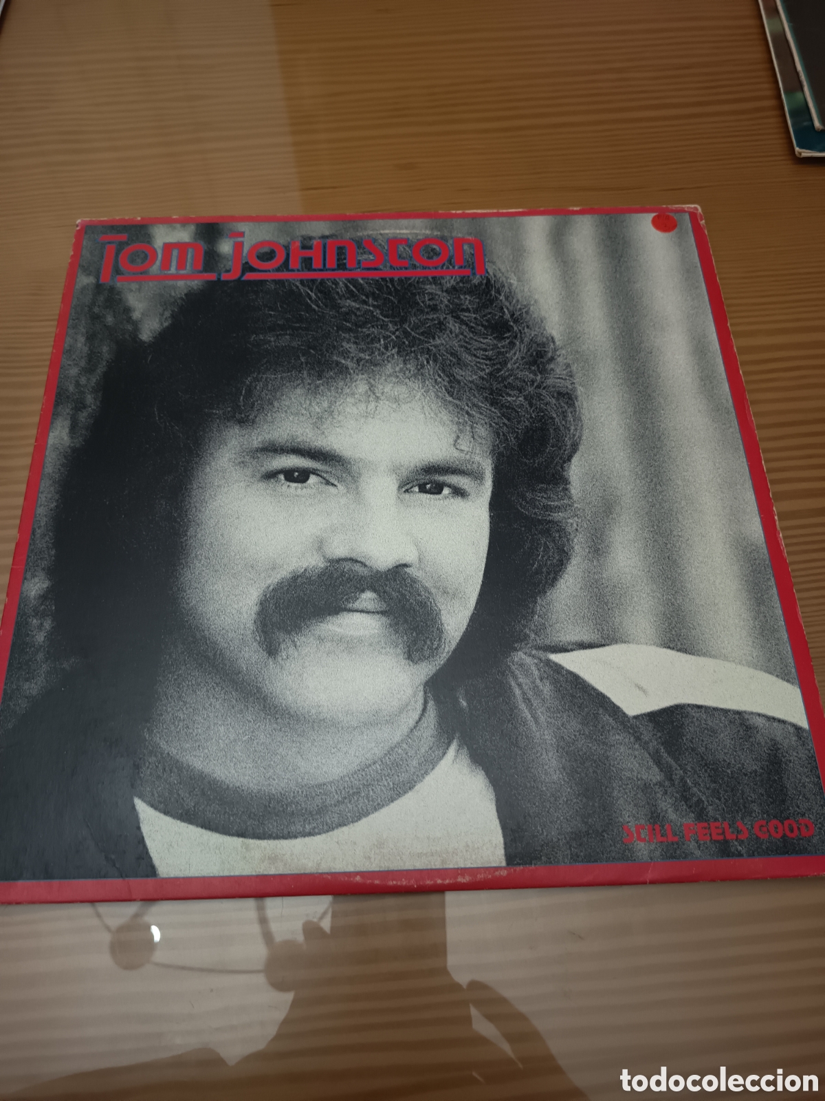 Discos de vinilo: Doble disco vinilo de Tom Johnston ,muy buen estado