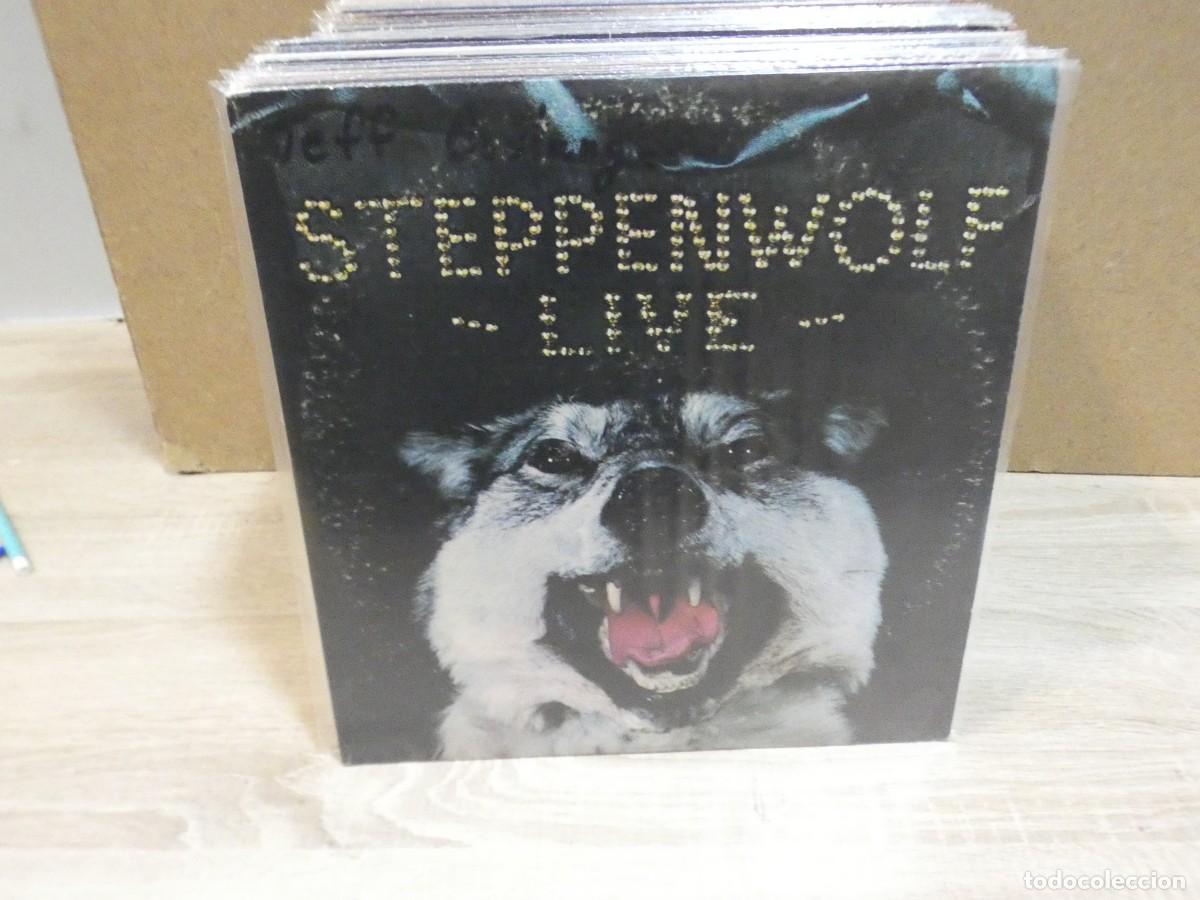 Discos de vinilo: ARKANSAS1980 PACC822 VINILO LEVE USO AUN CORRECTO STEPPENWOLF DOBLE