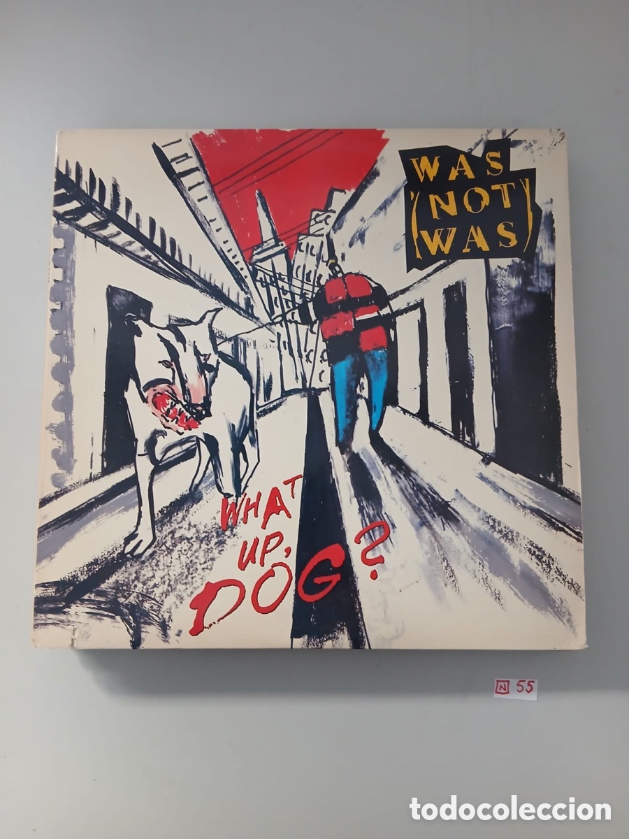 Discos de vinilo: Vinilo What up dog ?