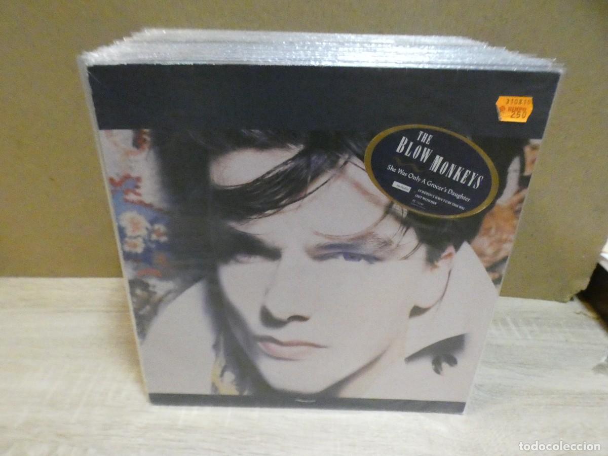 Disques de vinyle: ARKANSAS1980 BOXX801 VINILO BUEN ESTADO THE BLOW MONKEYS