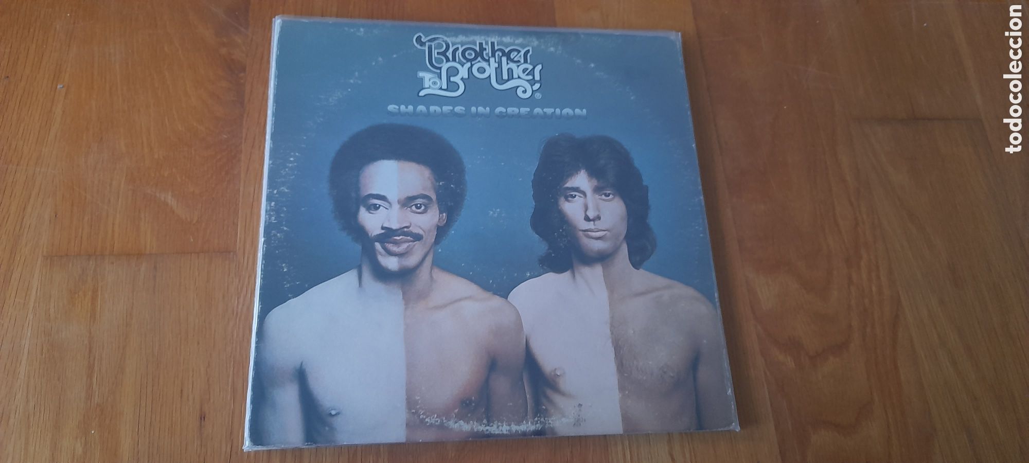 Discos de vinilo: Brother to brother - Shades in creation