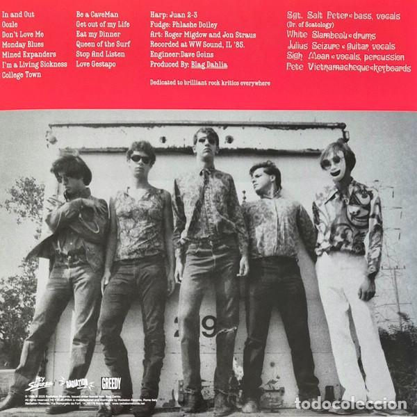 Discos de vinilo: DWARVES Horror Stories (LP VINILO ROJO) - Foto 2