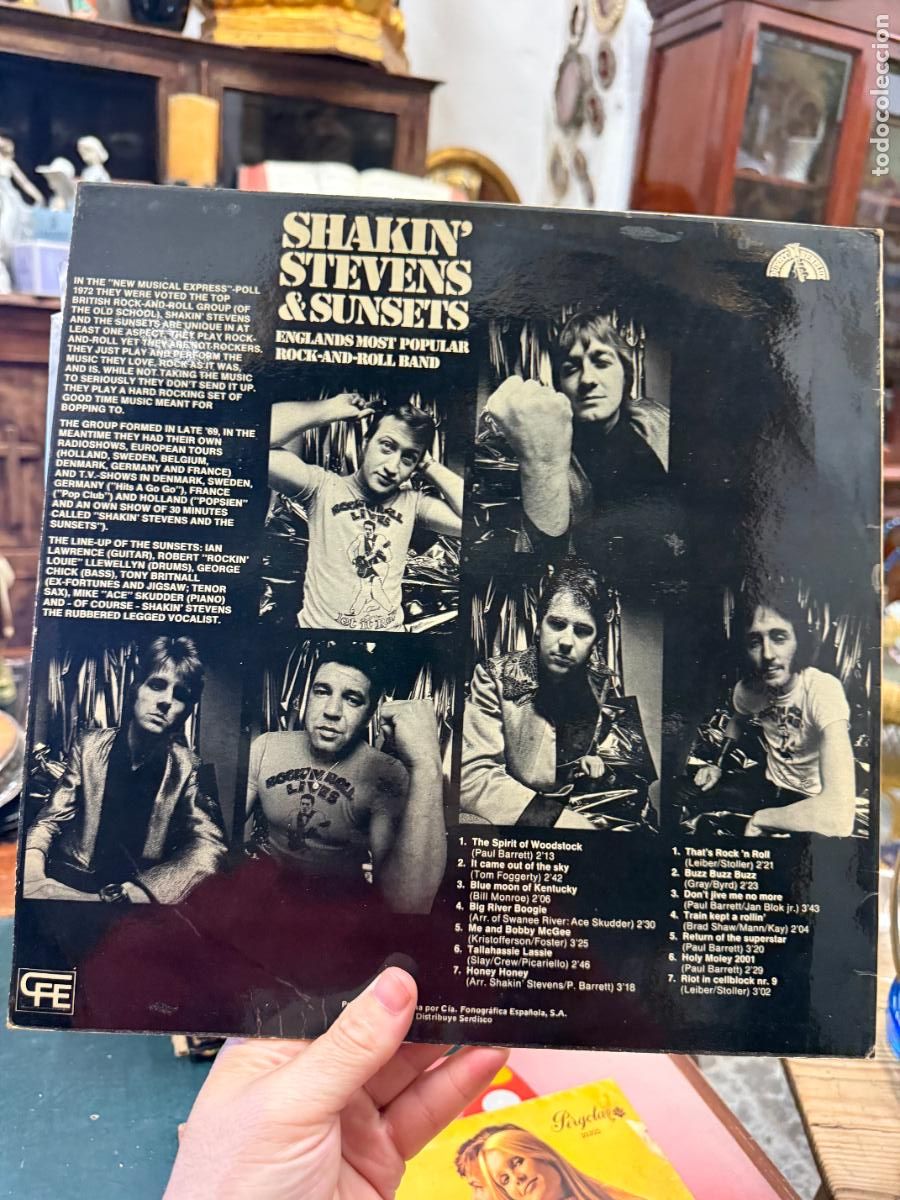 Discos de vinilo: LP SHAKIN&acute; STEVENS & SUNSETS - Foto 2