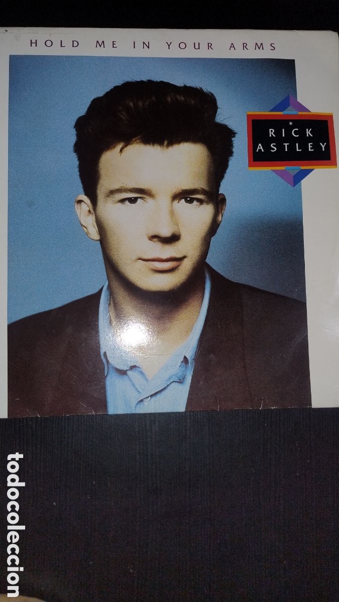 Discos de vinilo: Rock Astley LP hold me in your arms