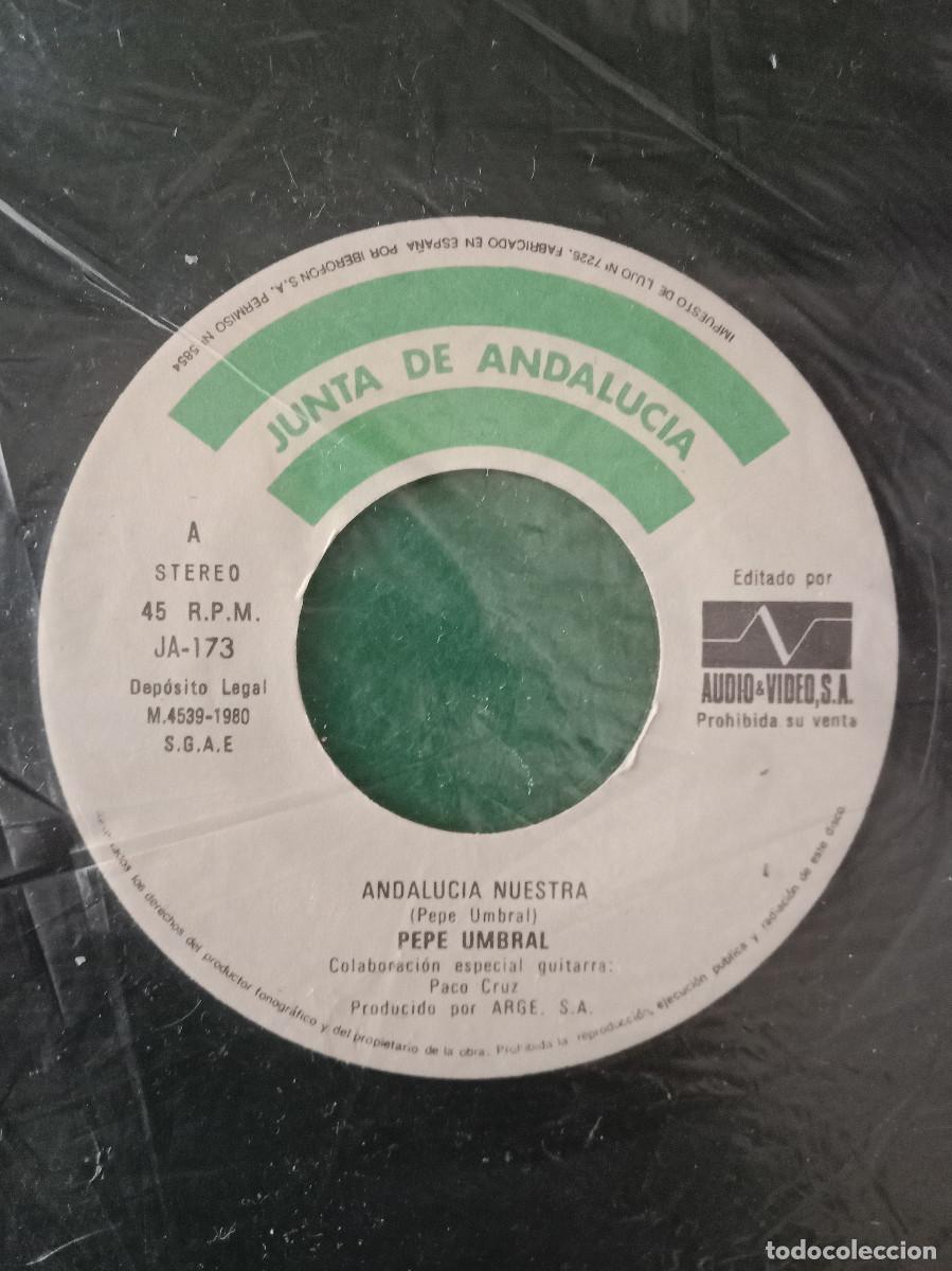 Discos de vinilo: Andaluc&iacute;a Nuestra / Canta Alto Andaluc&iacute;a - Pepe Umbral - Edit. Audio & Video, S.A. 1980