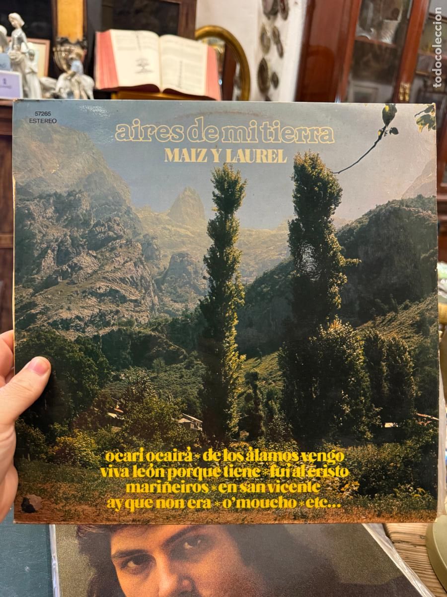 Discos de vinilo: LP AIRES DE MI TIERRA - MAIZ Y LAUREL