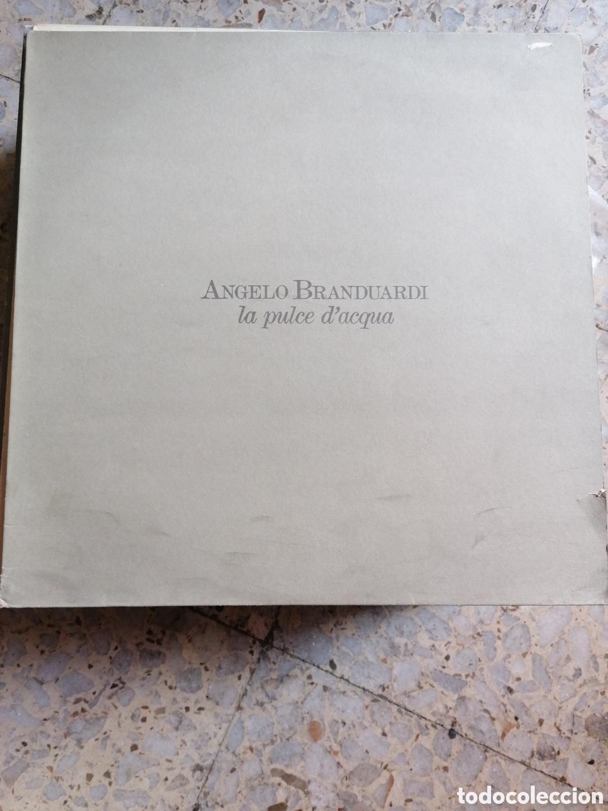 Discos de vinilo: LP ANGELO BRANDUARDI LA PULCE D&acute;ACQUA 1986 ESPA&Ntilde;A