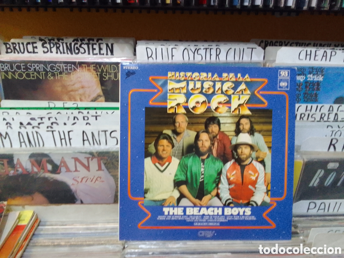 Discos de vinilo: Historia de la m&uacute;sica rock,93,beach boys
