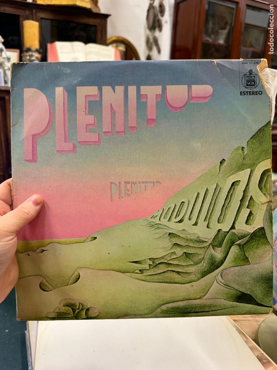 Discos de vinilo: LP PLENITUD - MODULOS
