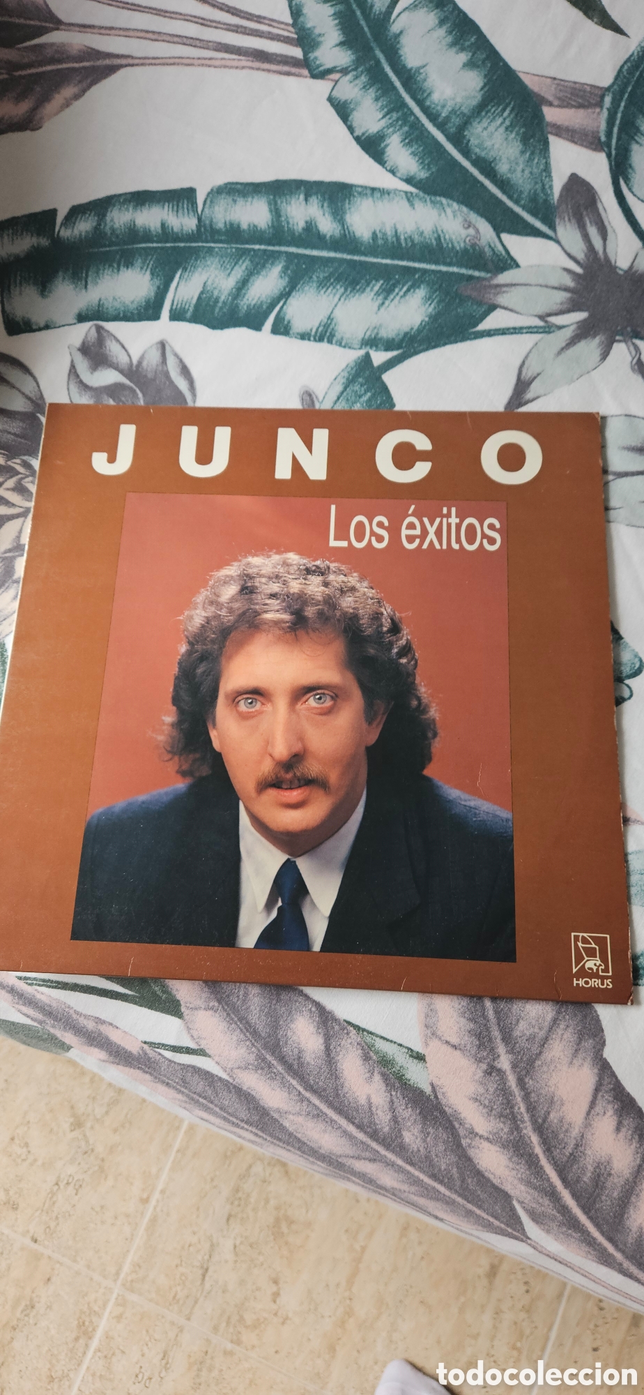 Discos de vinilo: Junco los &eacute;xitos lp vinilo muy bien cuidado