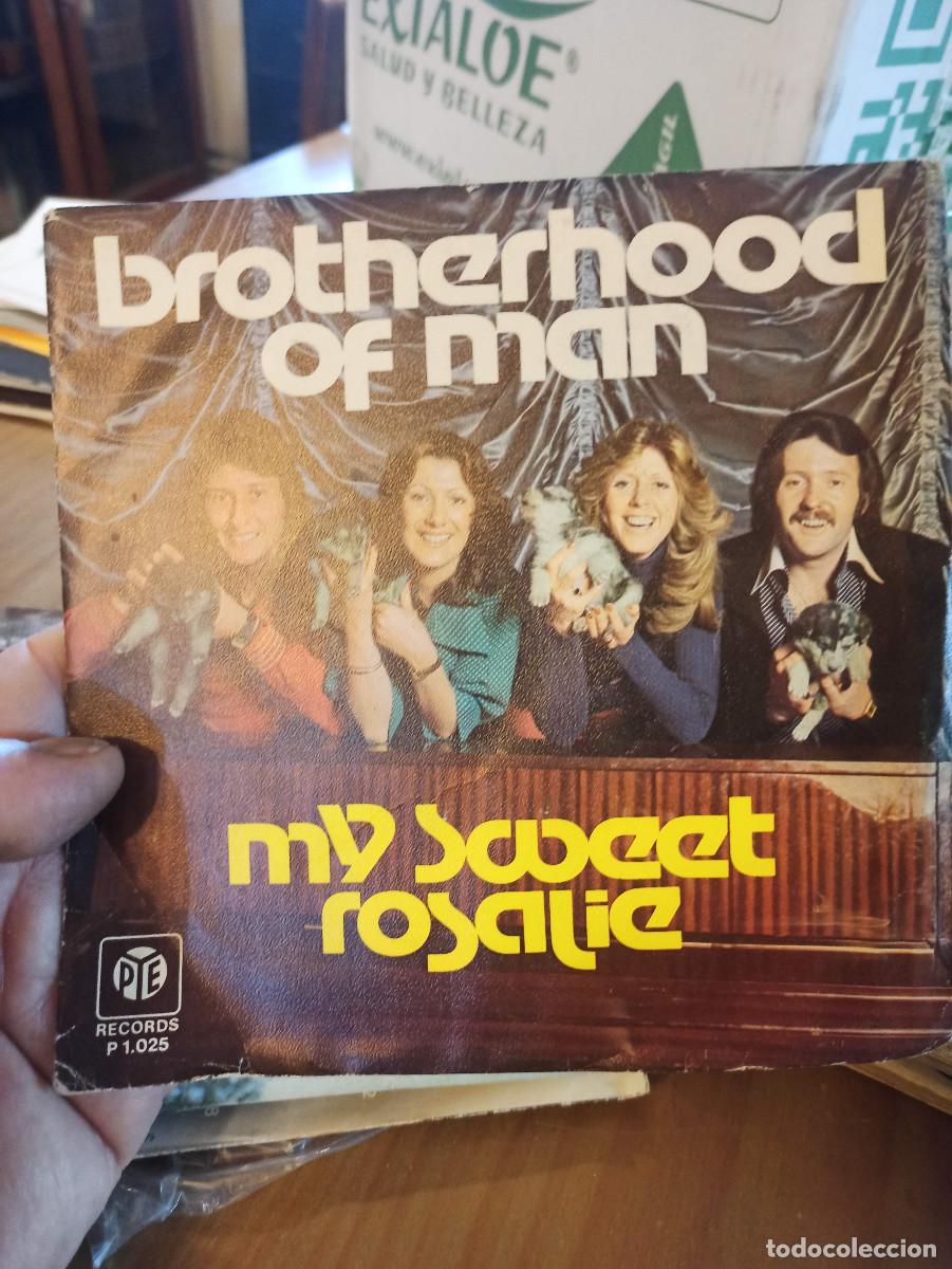 Discos de vinilo: Brotherhood of man single My Sweet Rosalie