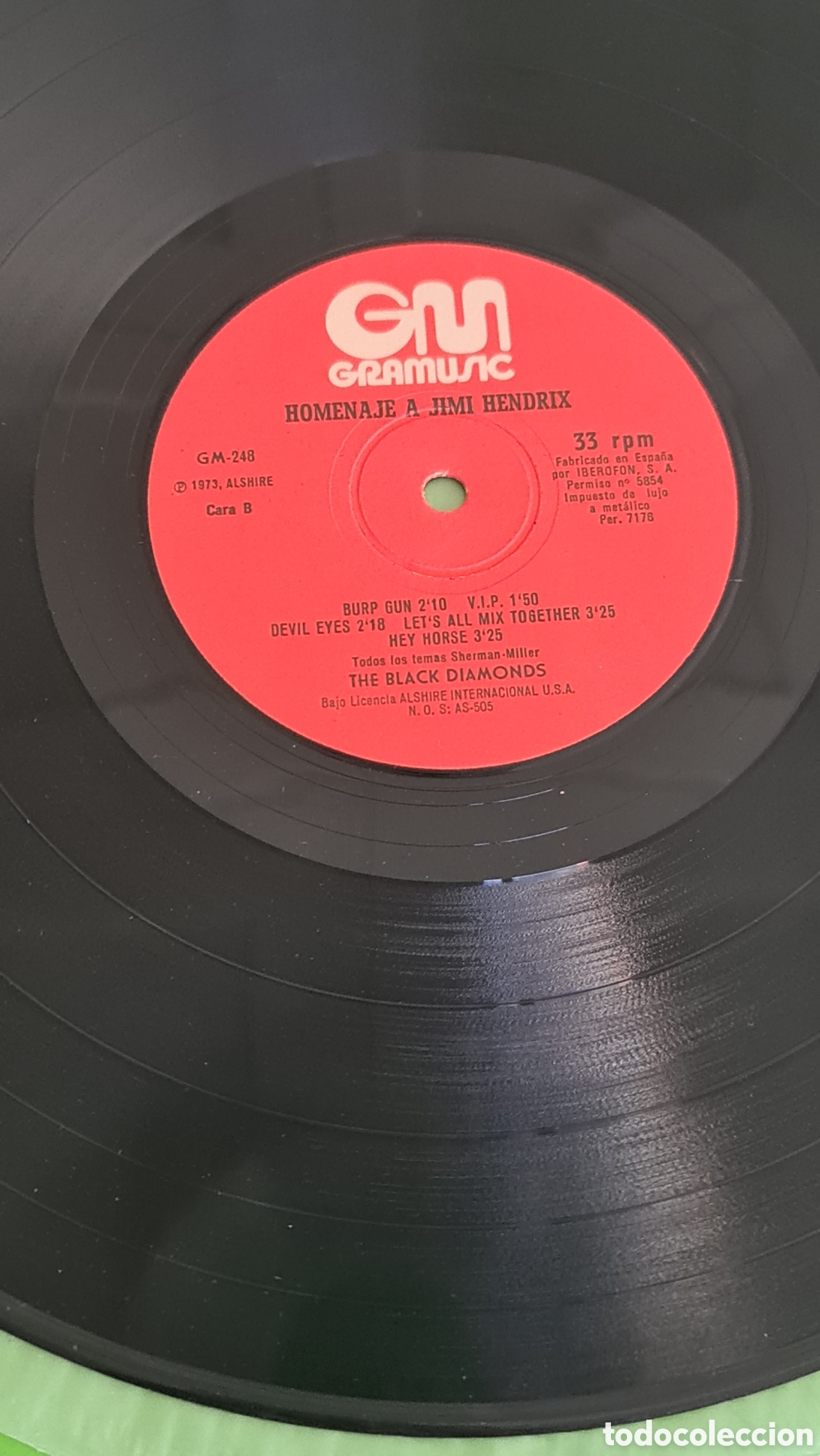 Discos de vinilo: Vinilo LP Homenaje a Jimi Hendrix