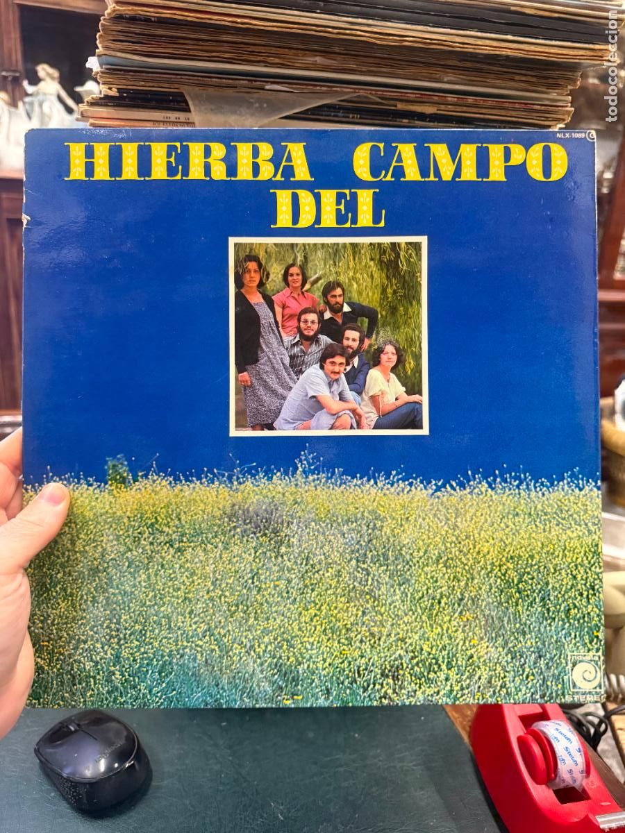 Discos de vinilo: LP HIERBA DEL CAMPO - - Foto 1