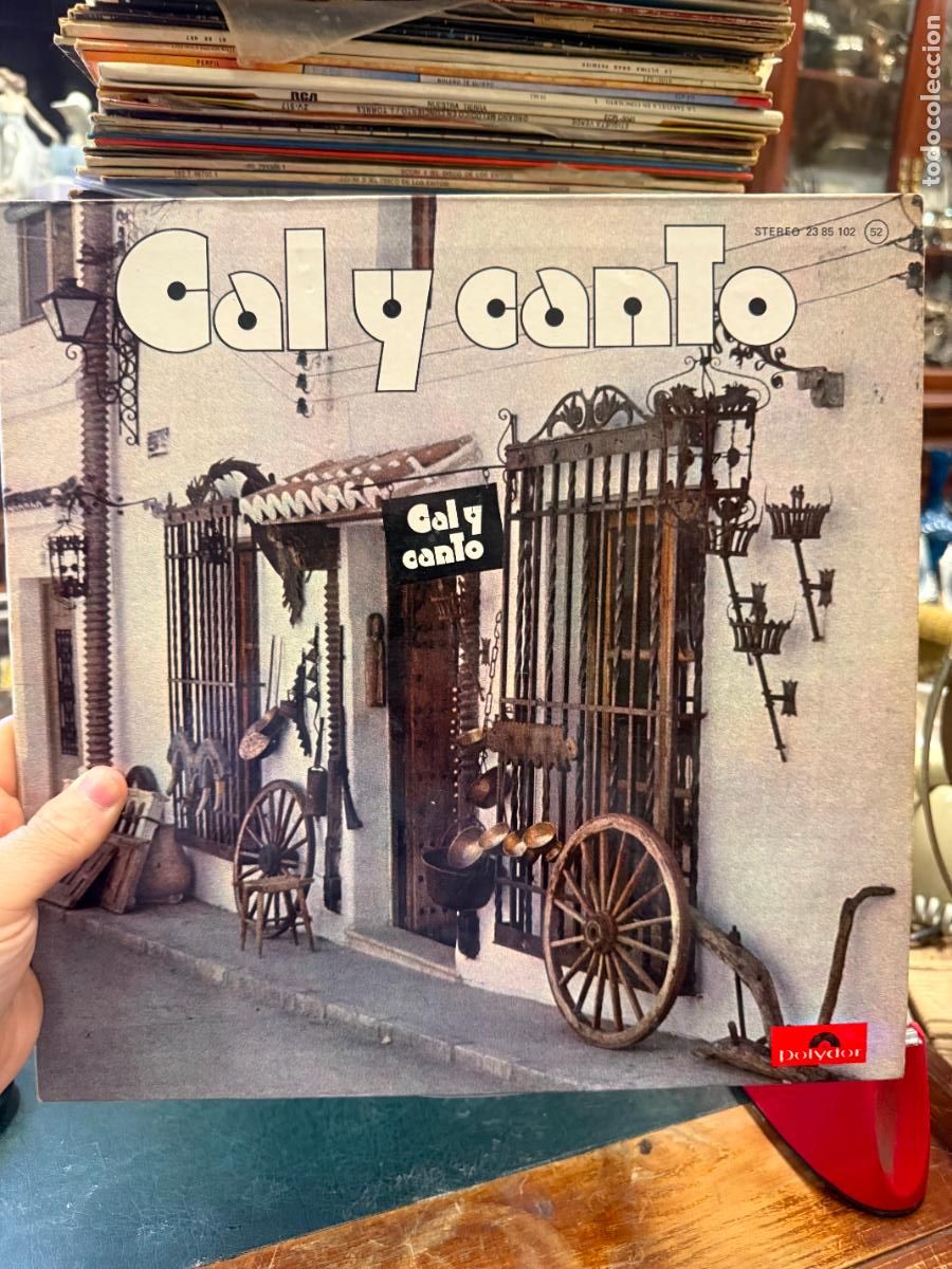Discos de vinilo: LP CAL Y CANTO -----