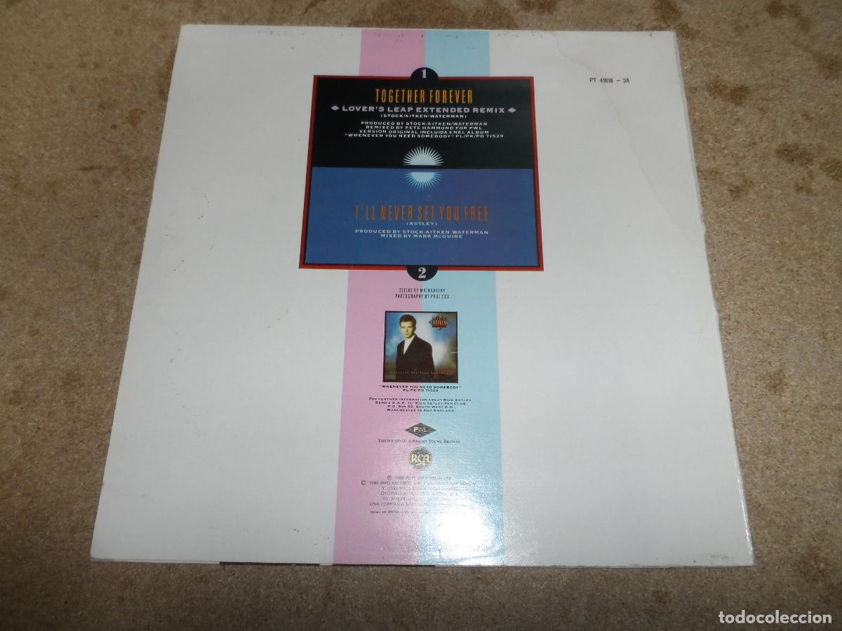 Discos de vinilo: Rick Astley &lrm;&ndash; Together Forever (SPAIN 1988) - Foto 2