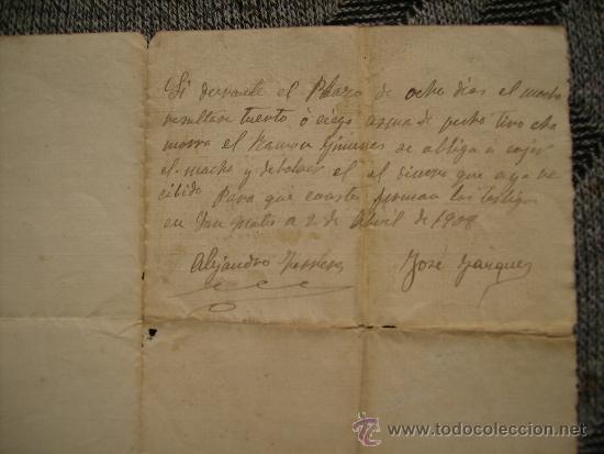 Documentos antiguos: CURIOSO DOCUMENTO DE COMPRA-VENTA DE UN MACHO.SAN MATEO,CASTELLON.A&Ntilde;O 1908 - Foto 2
