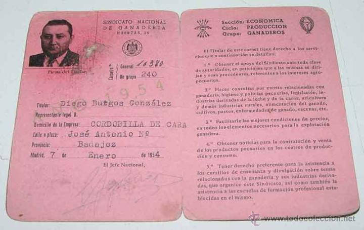 Documentos antigos: ANTIGUO CARNET DEL SINDICATO NACIONAL DE GANADERIA, DELEGACION NACIONAL DE SINDICATOS - 1954, TAL CO