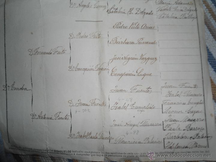 Documentos antiguos: ANTIGUO DOCUMENTO OBISPADO DE BADAJOZ - ARBOL GENEALOGICO - Foto 3