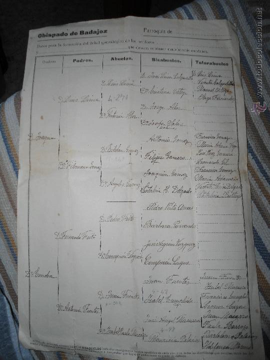 Documentos antiguos: ANTIGUO DOCUMENTO OBISPADO DE BADAJOZ - ARBOL GENEALOGICO - Foto 1