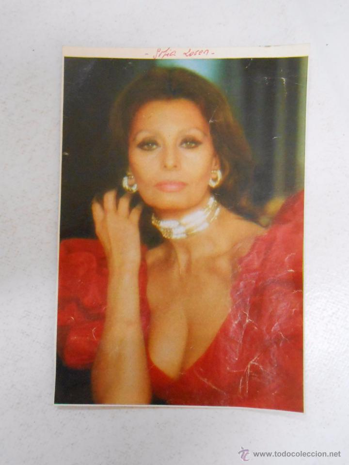 Documentos antiguos: RECORTE DE REVISTA SOFIA LOREN. TDKP3 - Foto 1