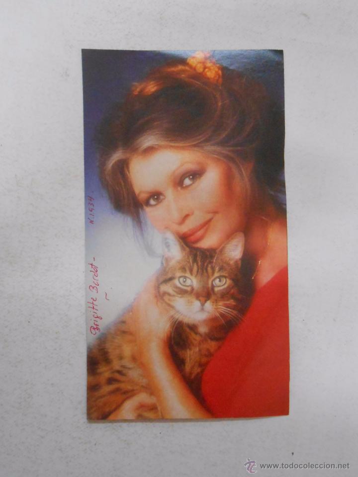 Documentos antiguos: RECORTE DE REVISTA BRIGITTE BARDOT. TDKP3 - Foto 1