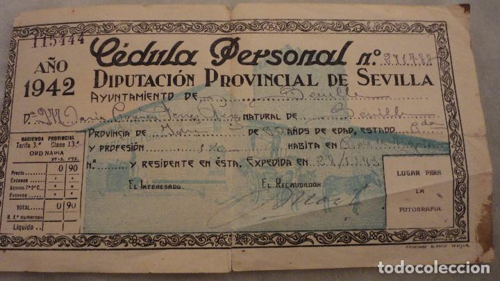 Documentos antiguos: ANTIGUA CELULA PERSONAL.DIPUTACION DE SEVILLA.MARIA CARMEN FERRER PEREZ.1942