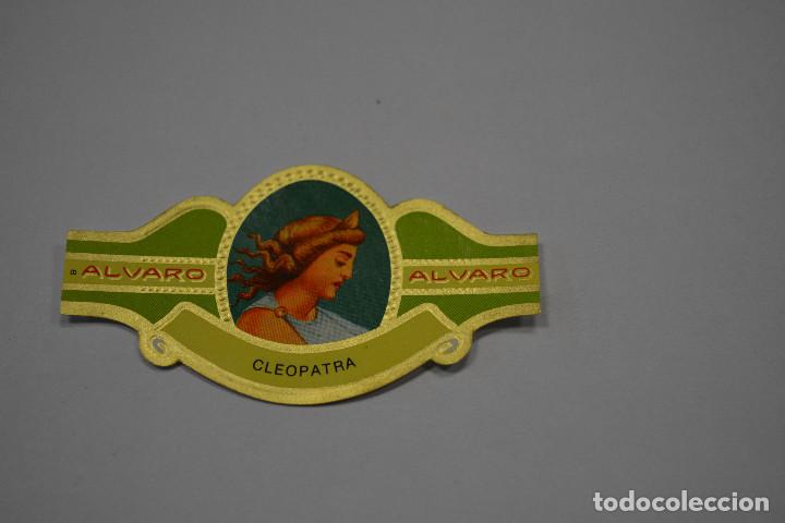 Documentos antiguos: VITOLA DE PURO ALVARO .SERIE MUJERES FAMOSAS EN LA HISTORIA.NUMERO 8 CLEOPATRA