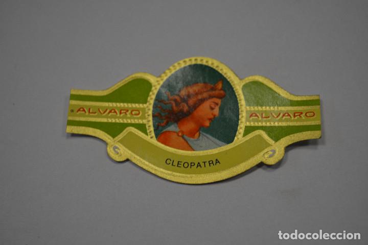 Documentos antiguos: VITOLA DE PURO ALVARO .SERIE MUJERES FAMOSAS EN LA HISTORIA.NUMERO 8 CLEOPATRA
