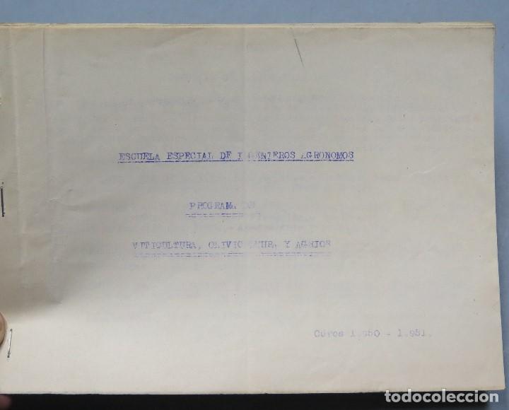 Documentos antiguos: PROGRAMA VITICULTURA. OLIVICULTURA Y AGRIOS. ESCUELA ESPECIAL INGENIEROS AGRONOMOS. 1951