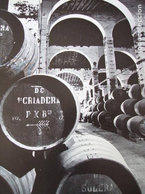 Documentos antiguos: JEREZ DE LA FRONTERA CADIZ BODEGAS LAMINA HUECOGRABADO A&Ntilde;OS 50
