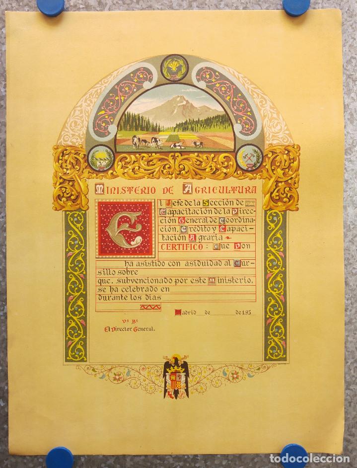 Documentos antiguos: MINISTERIO DE AGRICULTURA CERTIFICADO ASISTENCIA CURSILLO A&Ntilde;OS 50