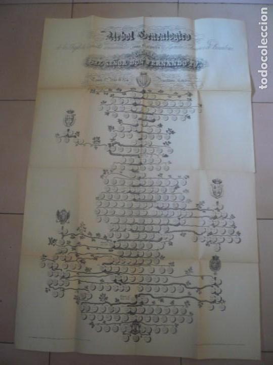 Arbol geneal&oacute;gico de los Reyes de Espa&ntilde;a