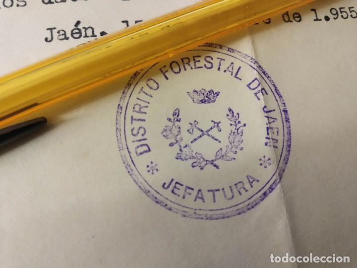Documentos antiguos: DISTRITO FORESTAL DE JAEN, JEFATURA. ALCALDIA DE CAZORLA. - Foto 1