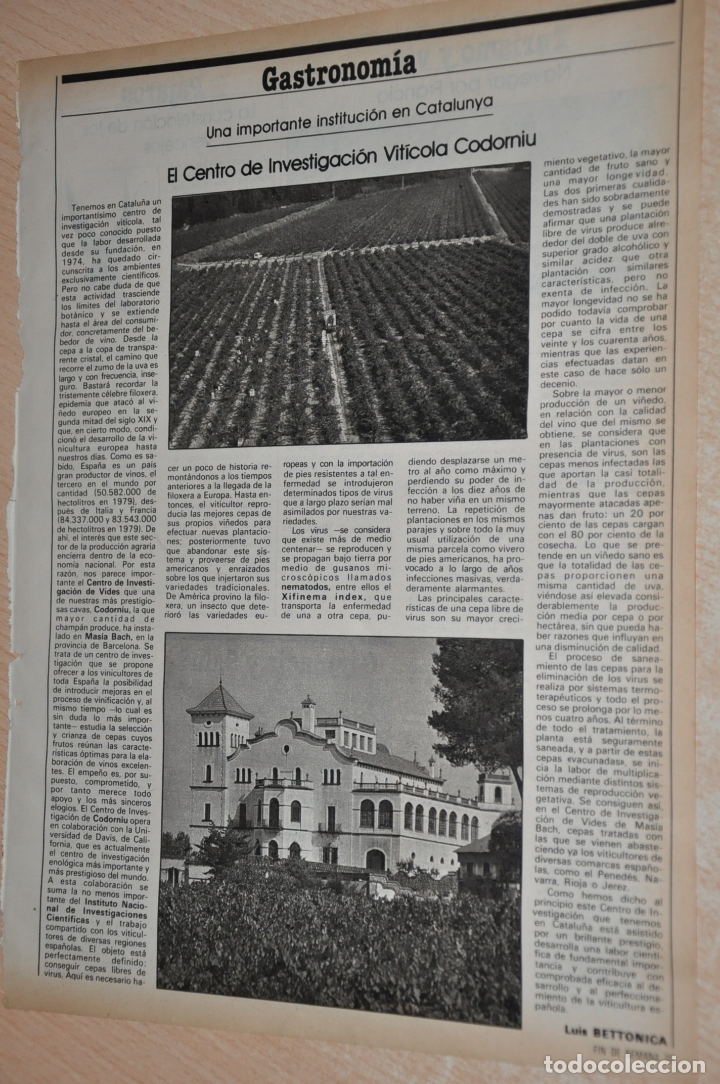 Documentos antiguos: hoja revista vanguardia reportaje codorniu - Foto 1