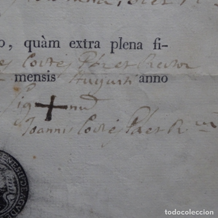 Documentos antiguos: Documento manuscrito en lat&iacute;n del a&ntilde;o 1817. - Foto 7