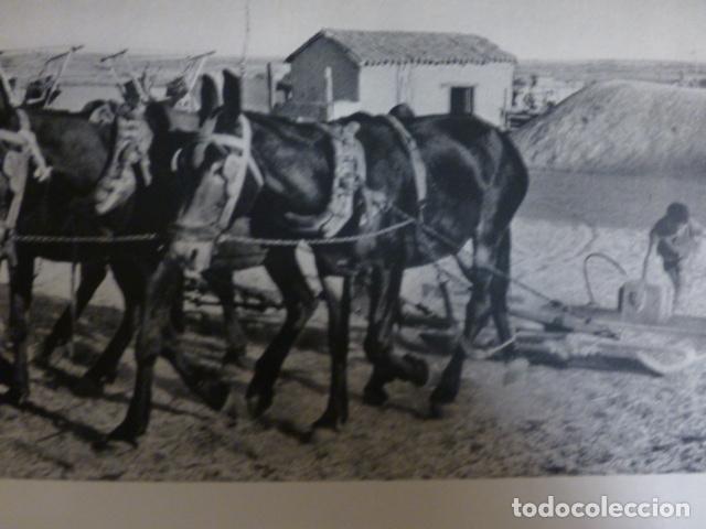 Documentos antiguos: LEON LA TRILLA HUECOGRABADO A&Ntilde;OS 50 - Foto 1