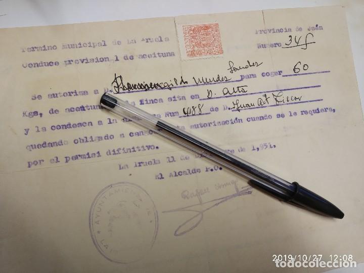Documenti antichi: CONDUCE O GUIA PROVISIONAL DE ACEITUNA, LA IRUELA CAZORLA JAEN 1951.